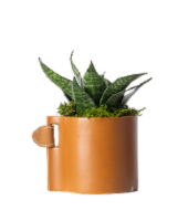 LiveTrends Agatha Leather Planter - Assorted