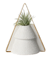Grandpa’s Sweater Details about   6cm Succulent Pot 