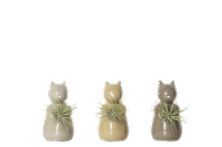 LiveTrends Ekorre Succulent Plant and Holder Perspective: Main