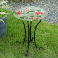Luxen Home Hummingbird Bird Glass Bath with Metal Stand