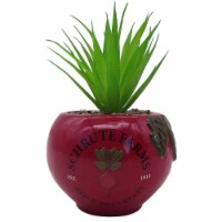 The Office 844265 Schrute Farms Rustic Ceramic Planter Pot
