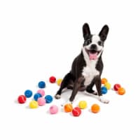 Midlee Mini Dog Tennis Balls Assorted Colors with Squeaker- 25 Pack