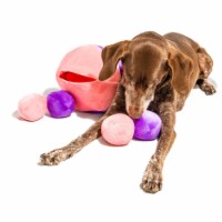 Midlee Hide a Ball Dog Toy - Pink/Purple (Large)
