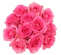 Fresh Pink Roses - Dozen Bunch Perspective: Main