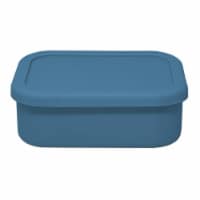 Alta Blue Silicone Storage Container Perspective: Main
