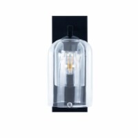Teamson Home Modern 1-Light Wall Sconce with Clear Double Glass Dome Shade Black