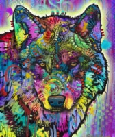 Dawhud Direct Dean Russo Spirit Wolf Fleece Blanket 50 x60  - Soft Plush Throw