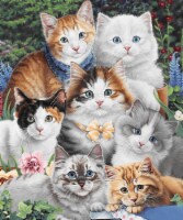 Jenny Kittens Flower Garden
