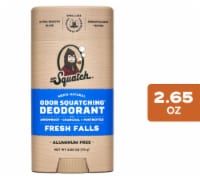 Dr. Squatch® Men's Deodorant Stick Fresh Falls Aluminum Free Perspective: Main