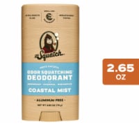 Dr. Squatch® Men's Natural Odor Squatching® Coastal Mist Stick Deoderant Perspective: Main