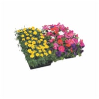 Fresh Marigold Solid Flat Perspective: Main