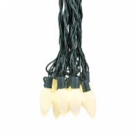 25 Foot C9 LED Ceramic Outdoor Christmas String Light Set, Warm White, Green Wire