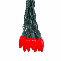 25 Foot C9 LED Ceramic Outdoor Christmas String Light Set, Pure White, Green Wire