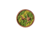 LiveTrends Aeriform Round Potted Plant Perspective: Main