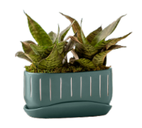 Harvest Garden Potted Plant Perspective: Main