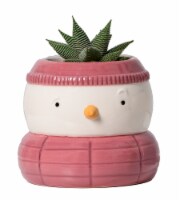 Bundle Up Live Succulent in Vase