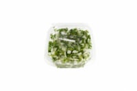 Fresh Kitchen Chopped Cilantro & Onion