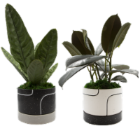Kahn Potted Plant Perspective: Main