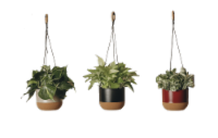 Hanging Foliage Basket Perspective: Main