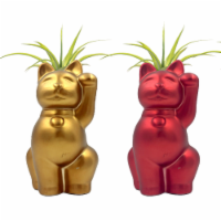 LiveTrends Koneko Potted Plant Perspective: Main