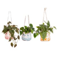 LiveTrends Breezy Meadows Hanging Basket - Red Blue Orange Perspective: Main