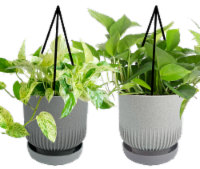 Loam Lightweight Hanging Potted Plant Perspective: Main