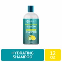 Mielle Kalahari Melon & Aloe VeraDeep Hydration Shampoo Perspective: Main