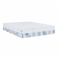Sealy® Dreamlife 3in Memory Foam Topper - Queen Perspective: Main
