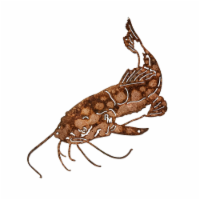 Rustic Metalz - Catfish Metal Cabin Art: Vintage Wall Decoration and Fishing Gift
