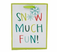 Seasonal Celebrations Snow Much Fun Value Cub Gift Bag Perspective: Main