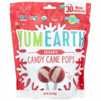 YumEarth Organic Peppermint Candy Cane Winter Wrapped Lollipop Candy Perspective: Main