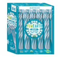 Yum Earth® Blue Raspberry Organic Holiday Candy Canes Perspective: Main