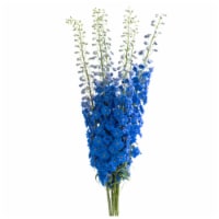 Premium Linear Flower Bunch Perspective: Main