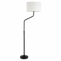67.5' Metal Floor Lamp in Black - Henn&Hart