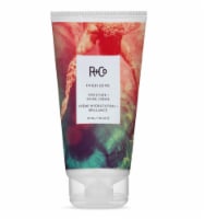 R+Co High Dive Moisture + Shine Creme