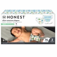 The Honest Co.® Turtle Time + Teal Tribal Print Size 2 Diapers