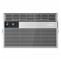 Element EWR10BE 10000 BTU Window Air Conditioner