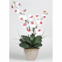 Nearly Natural 1026-WH Double Stem Phalaenopsis Silk Orchid Arrangement