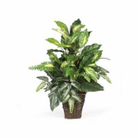 Nearly Natural 6527 Mixed Greens with Wicker Silk Plant
