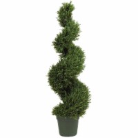 4-ft Rosemary Spiral Tree w/1512 Lvs (Indoor/Outdoor)