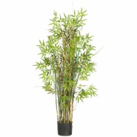 5-in Grass Plant Bamboo