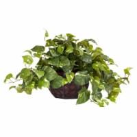 15-in Pothos w/Decorative Planter