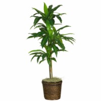 48-in Dracaena w/Basket Silk Plant (Real Touch)