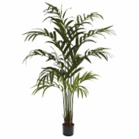 6-in Kentia Palm Tree x 12 w/180 Lvs