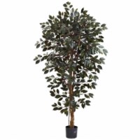 Nearly Natural 5436 6 ft. Capensia Ficus Tree x3 With 1008 Leaves