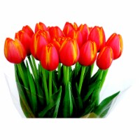 Fresh Cut Tulips Perspective: Main