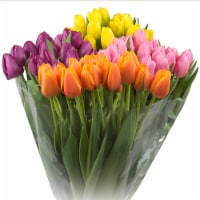 Fresh Cut Tulips Perspective: Main