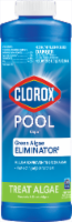 Clorox Pool & Spa Green Algae Eliminator