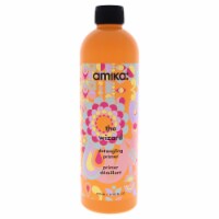 The Wizard Detangling Primer by Amika for Unisex - 17 oz Primer