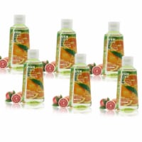 WBM Care Advanced Hand Sanitizer, Alcohol-Based, Blood Orange – Pack of 48/3.5 Oz Each